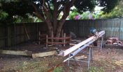 Tree Seat