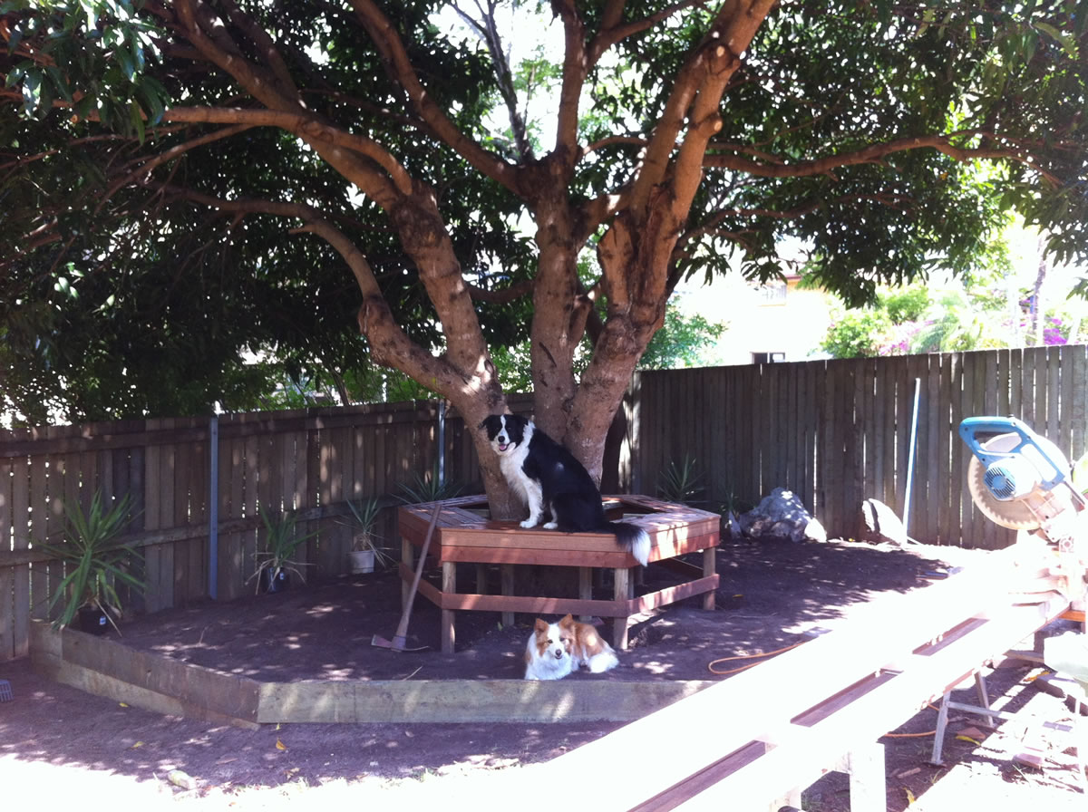 Tree Seat