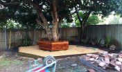 Tree Seat