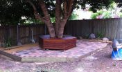 Tree Seat
