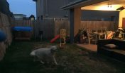 Warner Deck